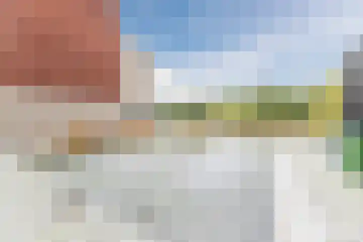 Priemkruid 100 Breda thumbnail 30