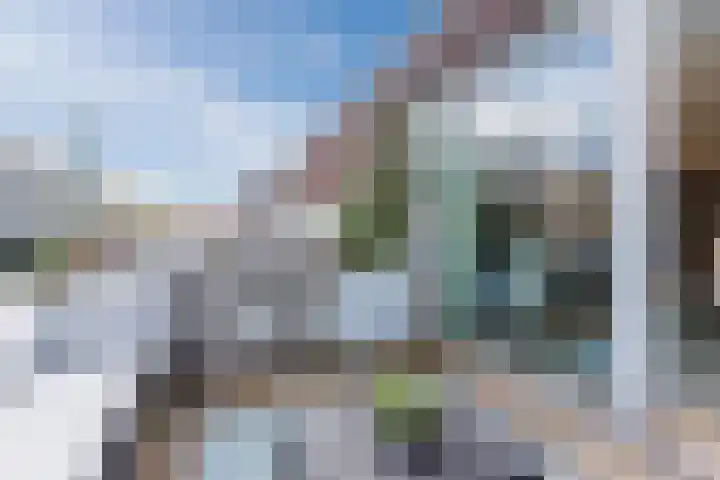 Priemkruid 16 Breda thumbnail 12