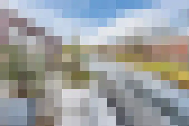 Priemkruid 16 Breda thumbnail 14