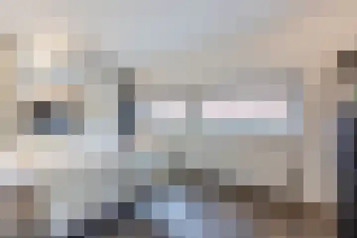 Priemkruid 16 Breda thumbnail 16