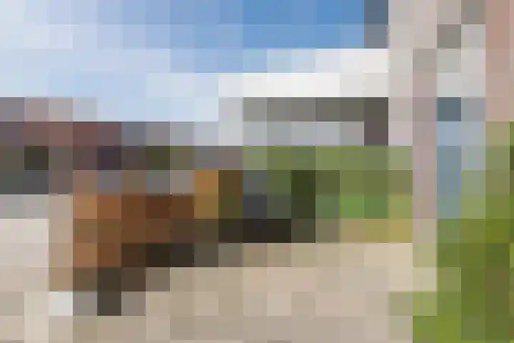 Priemkruid 16 Breda thumbnail 21