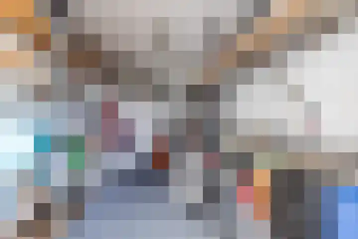 Priemkruid 16 Breda thumbnail 22