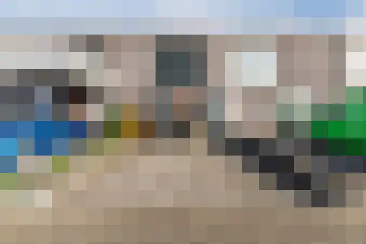 Priemkruid 16 Breda thumbnail 24