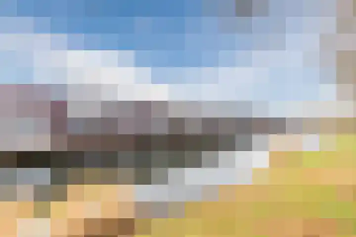 Priemkruid 16 Breda thumbnail 25