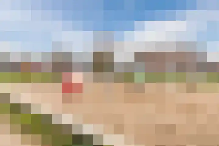 Priemkruid 16 Breda thumbnail 27