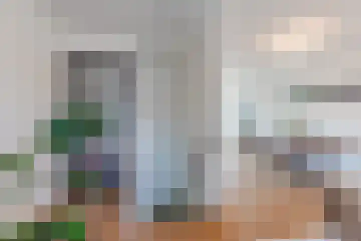 Priemkruid 16 Breda thumbnail 4
