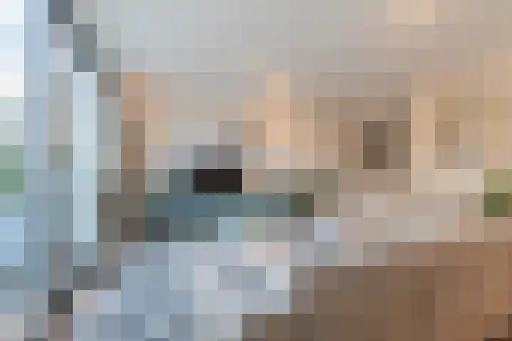 Priemkruid 16 Breda thumbnail 5