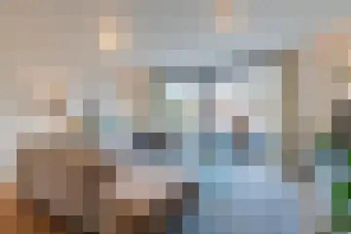Priemkruid 16 Breda thumbnail 6