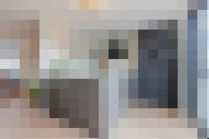 Priemkruid 16 Breda thumbnail 8