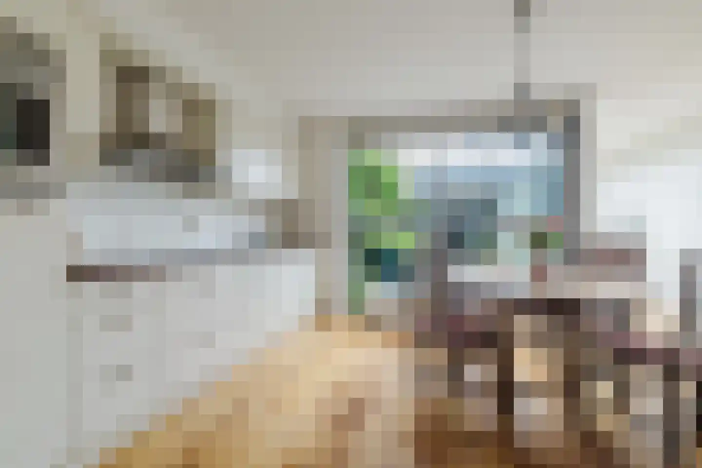 Priemkruid 27 Breda thumbnail 10
