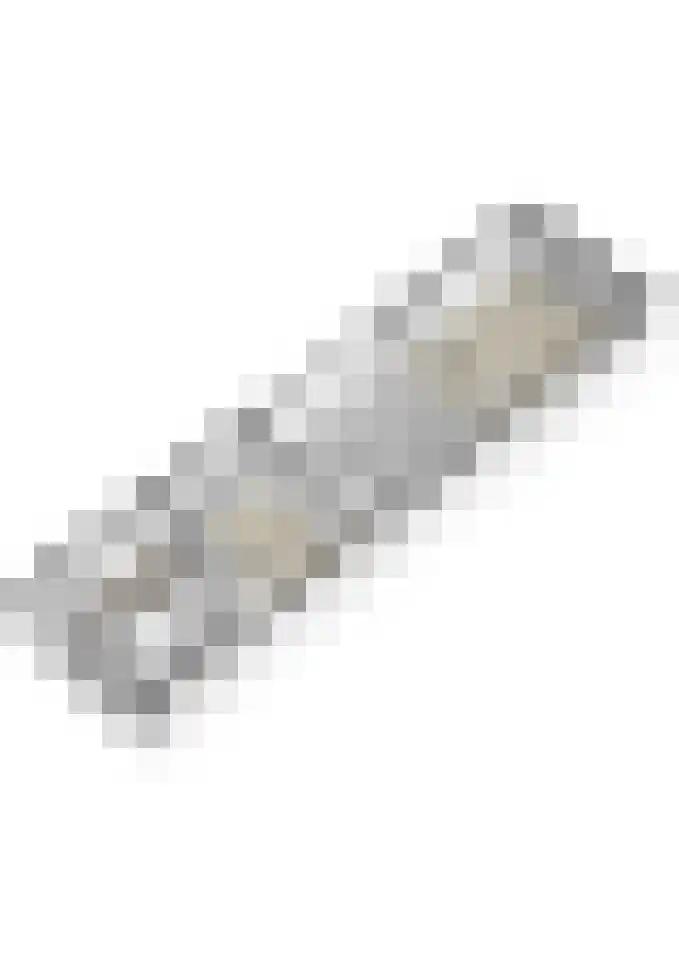 Priemkruid 27 Breda thumbnail 36