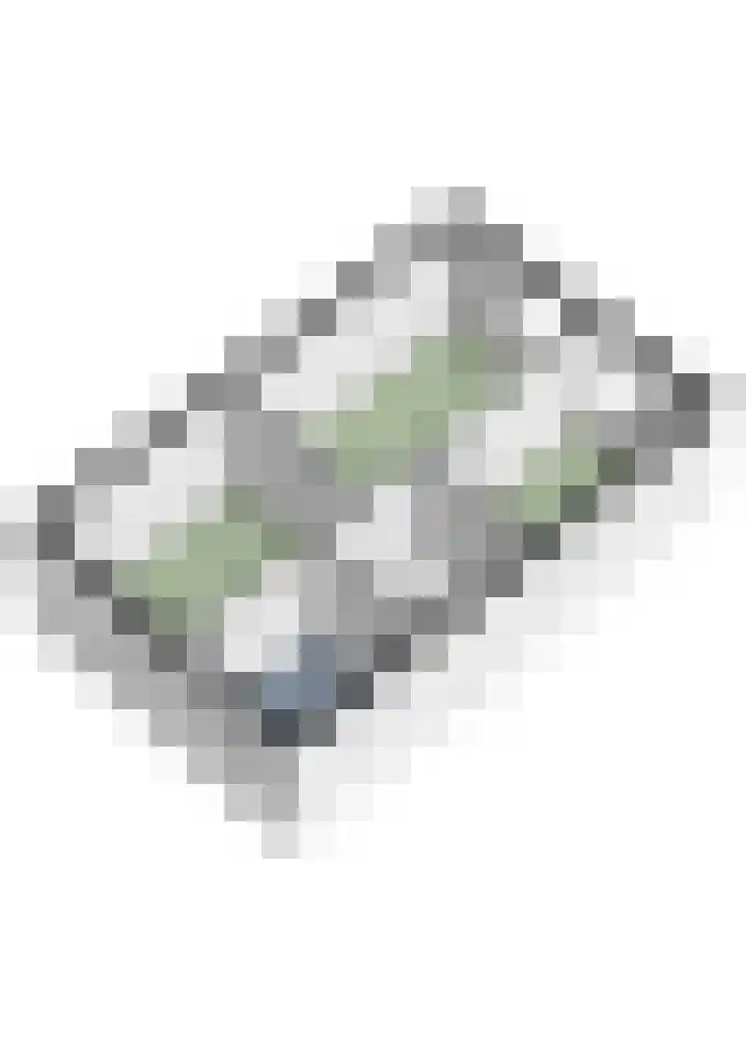 Priemkruid 27 Breda thumbnail 37