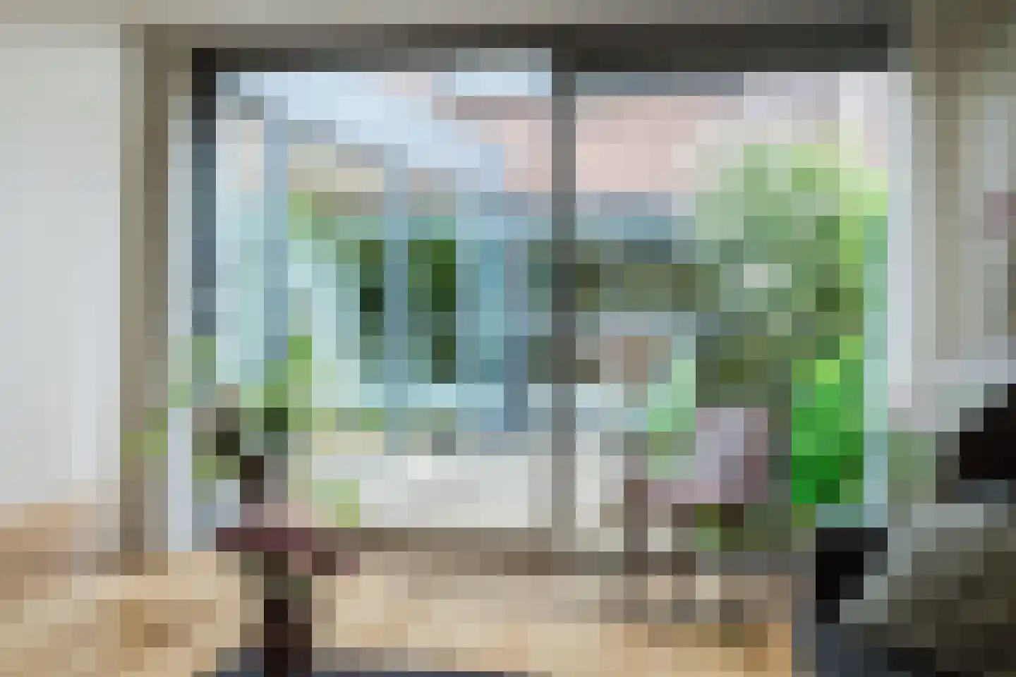 Priemkruid 27 Breda thumbnail 4