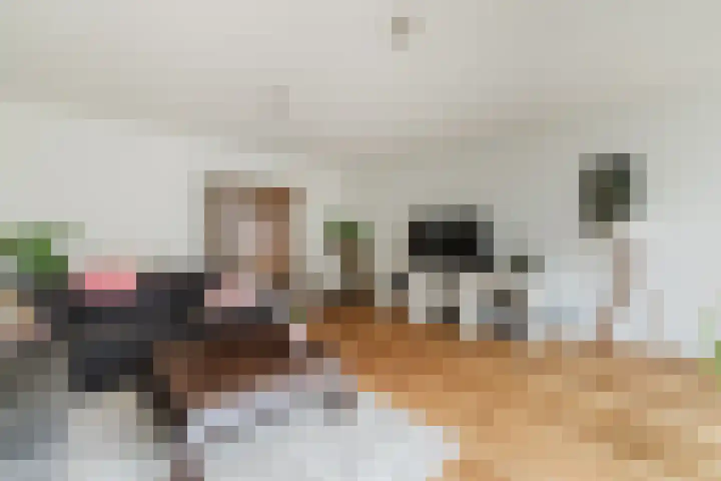 Priemkruid 27 Breda thumbnail 6