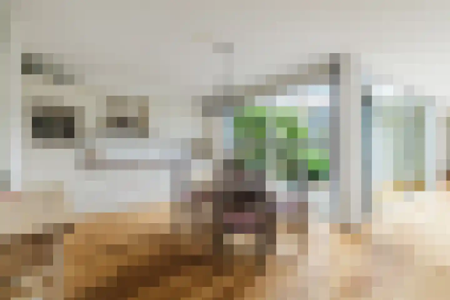 Priemkruid 27 Breda thumbnail 9
