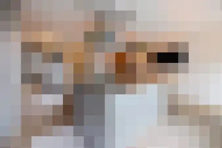 Priemkruid 33 Breda thumbnail 10