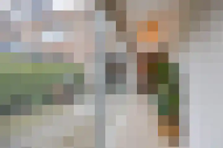 Priemkruid 33 Breda thumbnail 13