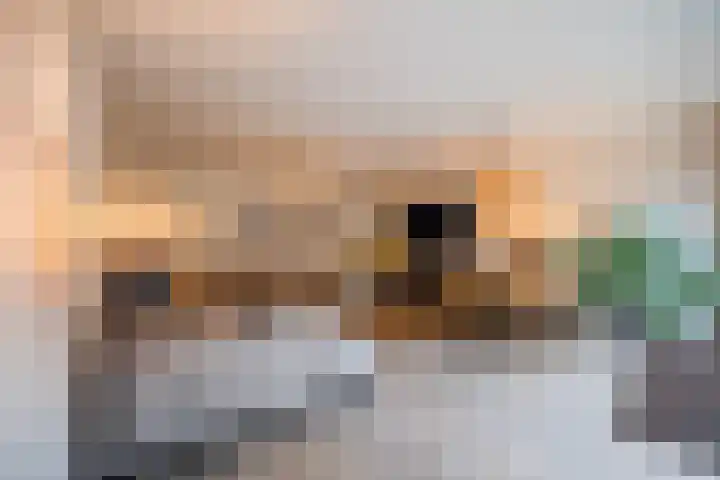 Priemkruid 33 Breda thumbnail 14