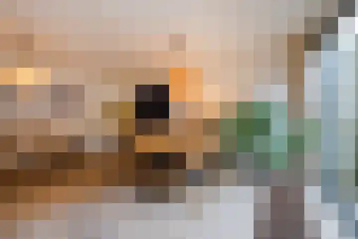 Priemkruid 33 Breda thumbnail 15