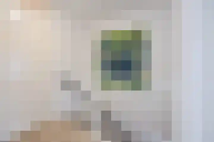 Priemkruid 33 Breda thumbnail 19