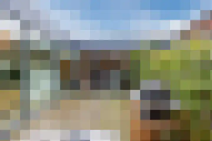 Priemkruid 33 Breda thumbnail 30