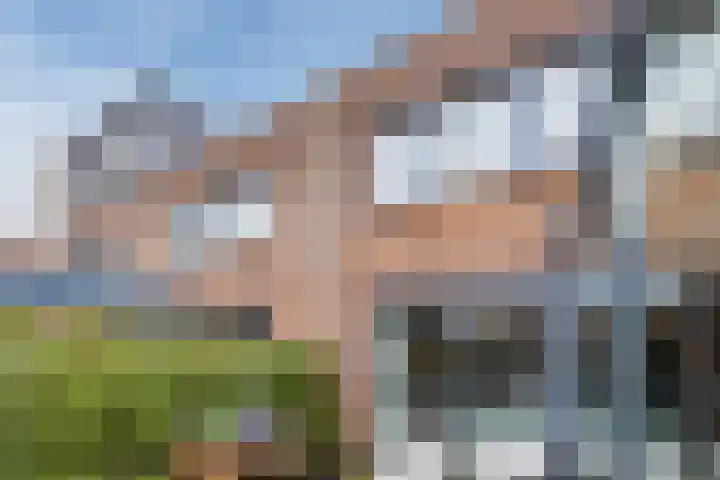 Priemkruid 33 Breda thumbnail 31