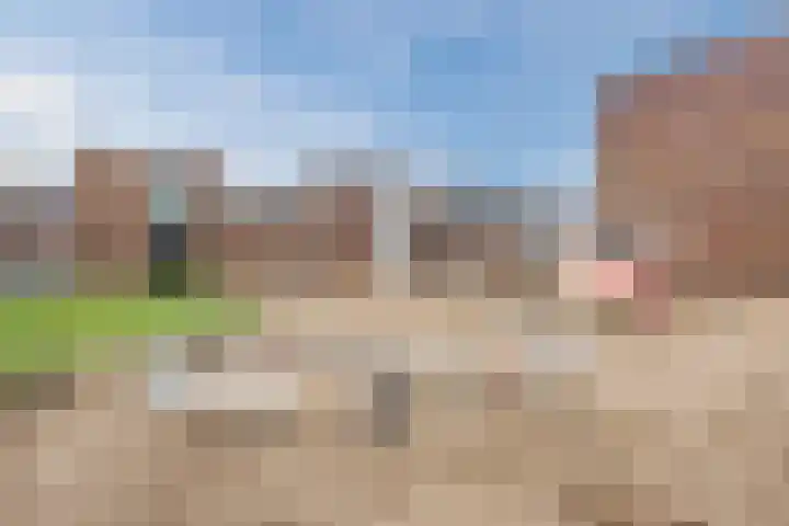 Priemkruid 33 Breda thumbnail 35