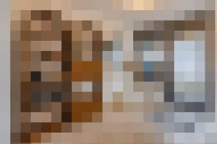 Priemkruid 33 Breda thumbnail 7