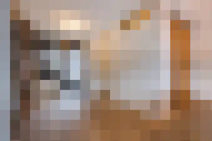Priemkruid 33 Breda thumbnail 8