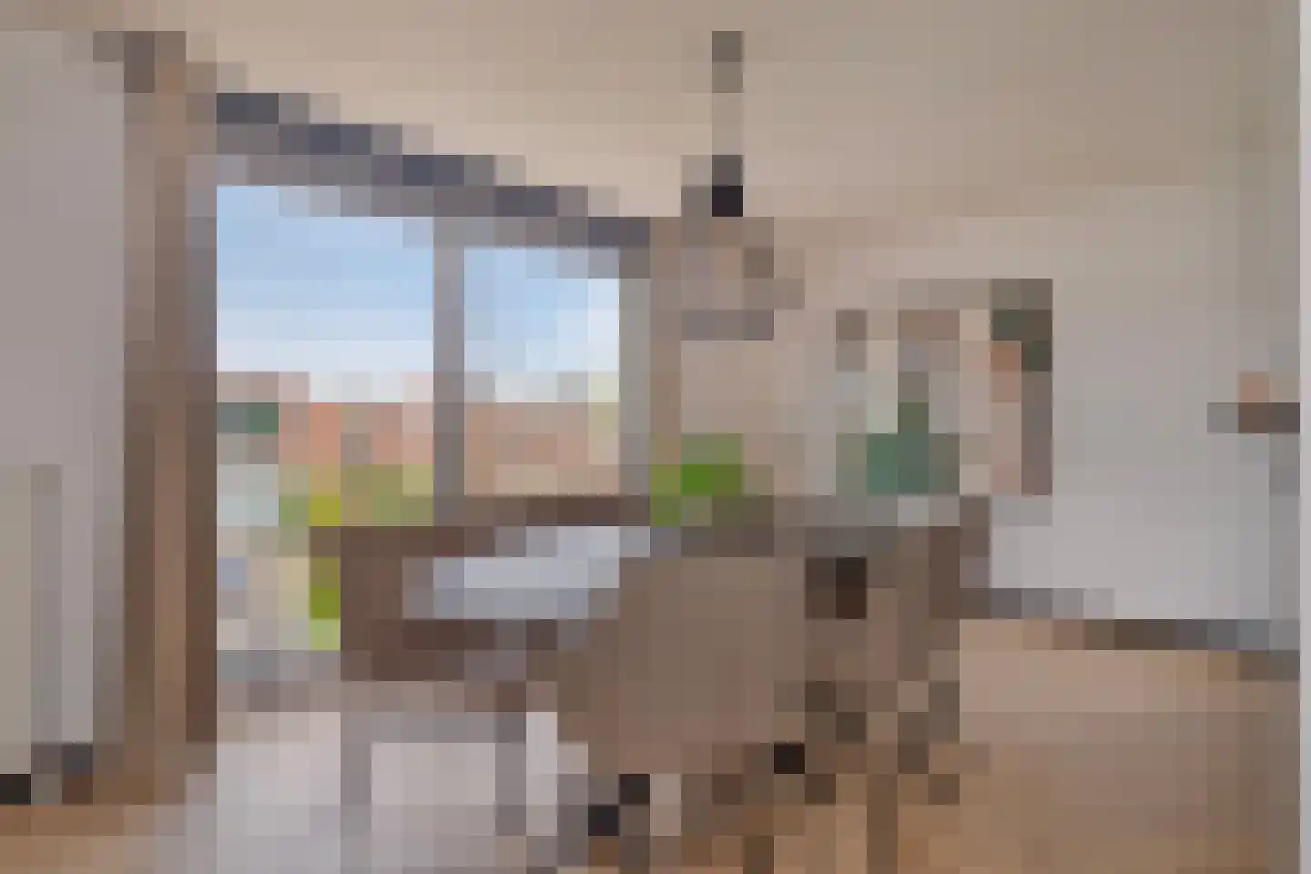 Priemkruid 68 Breda thumbnail 13