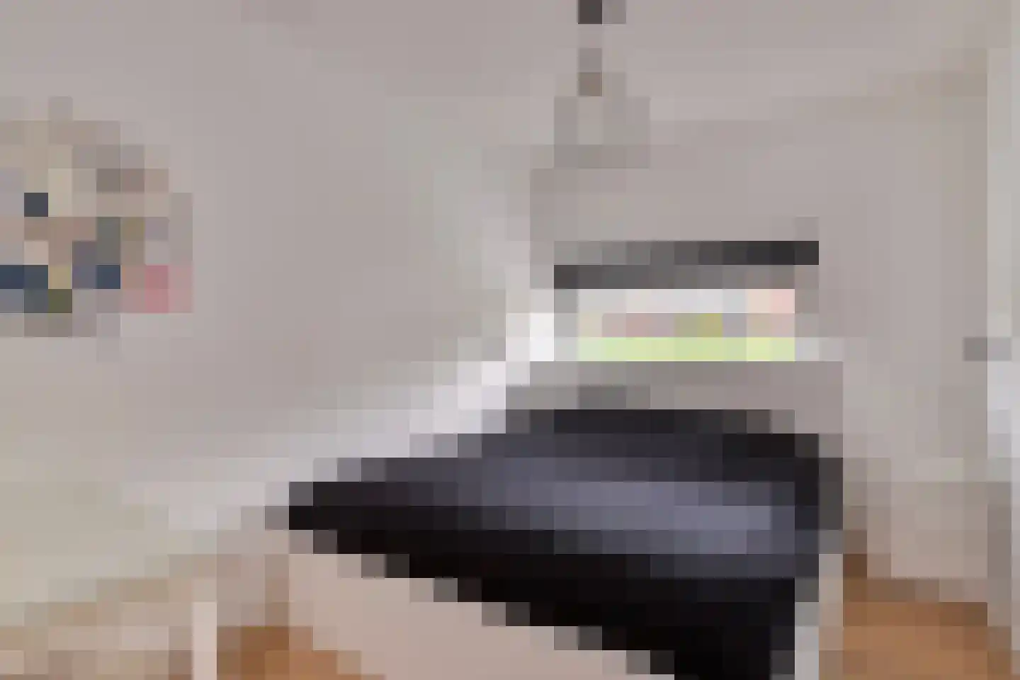 Priemkruid 68 Breda thumbnail 20