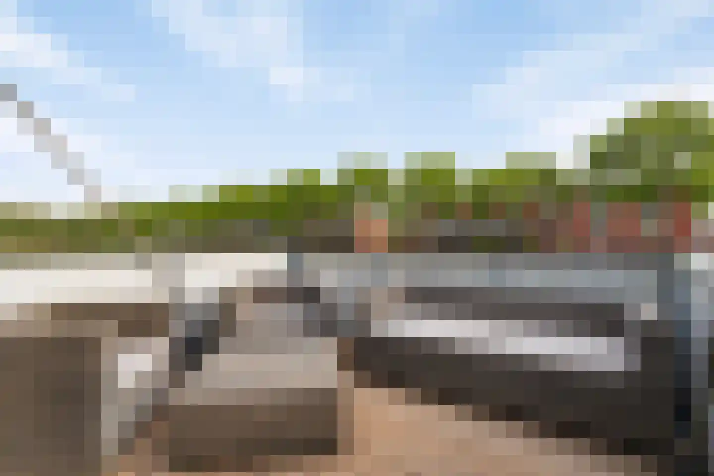 Priemkruid 68 Breda thumbnail 4