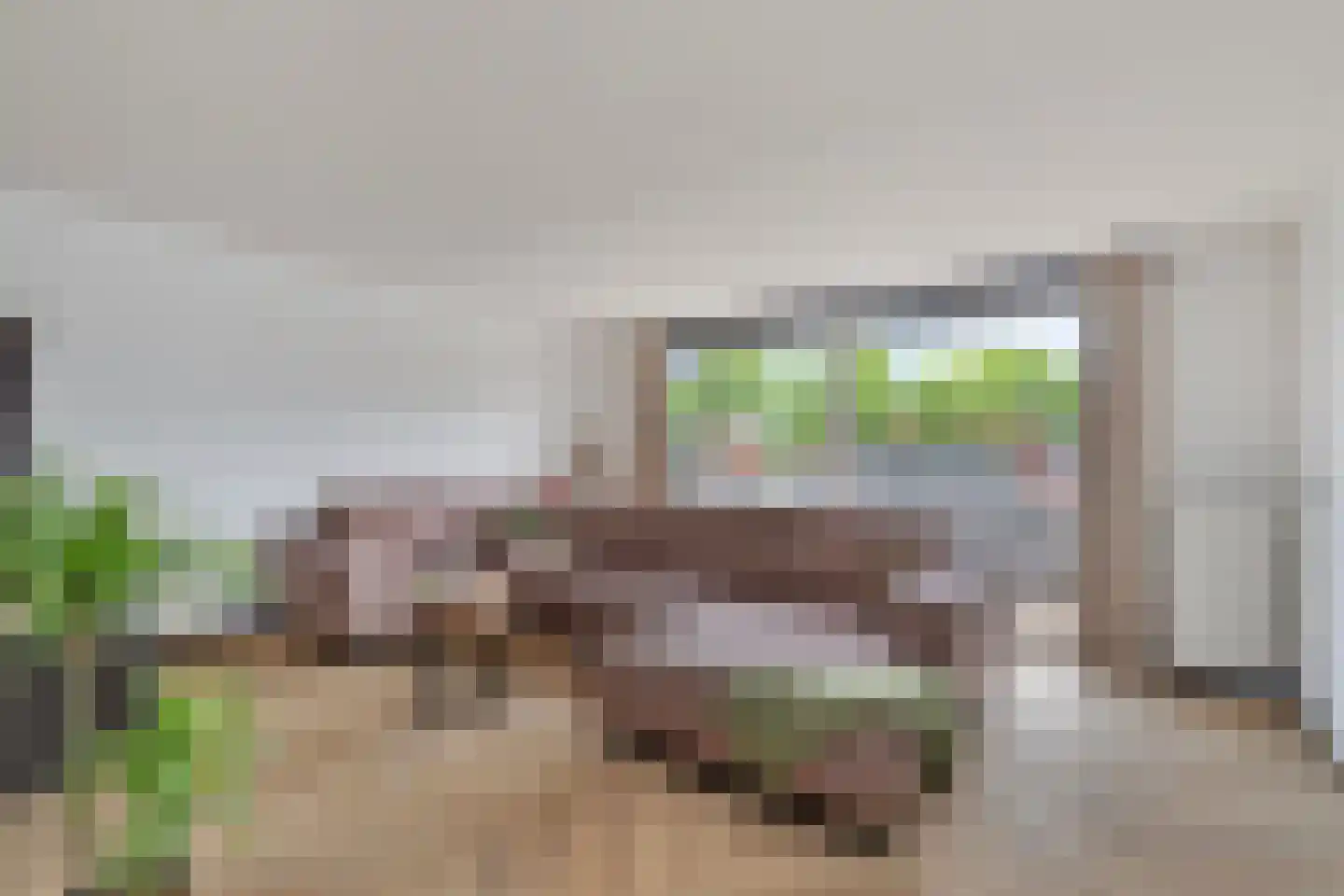 Priemkruid 68 Breda thumbnail 5