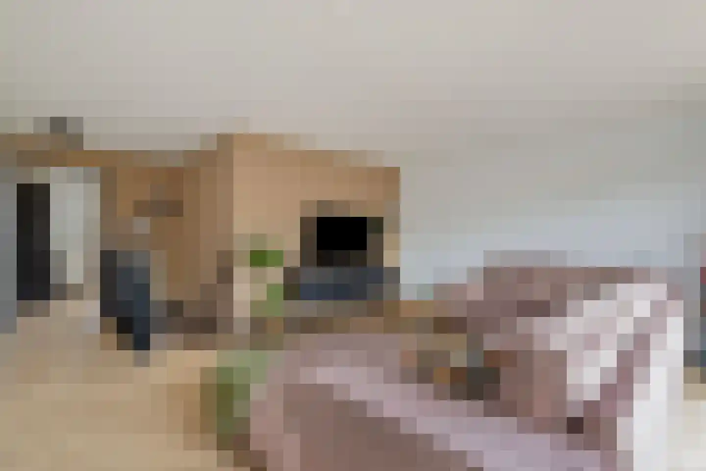 Priemkruid 68 Breda thumbnail 6