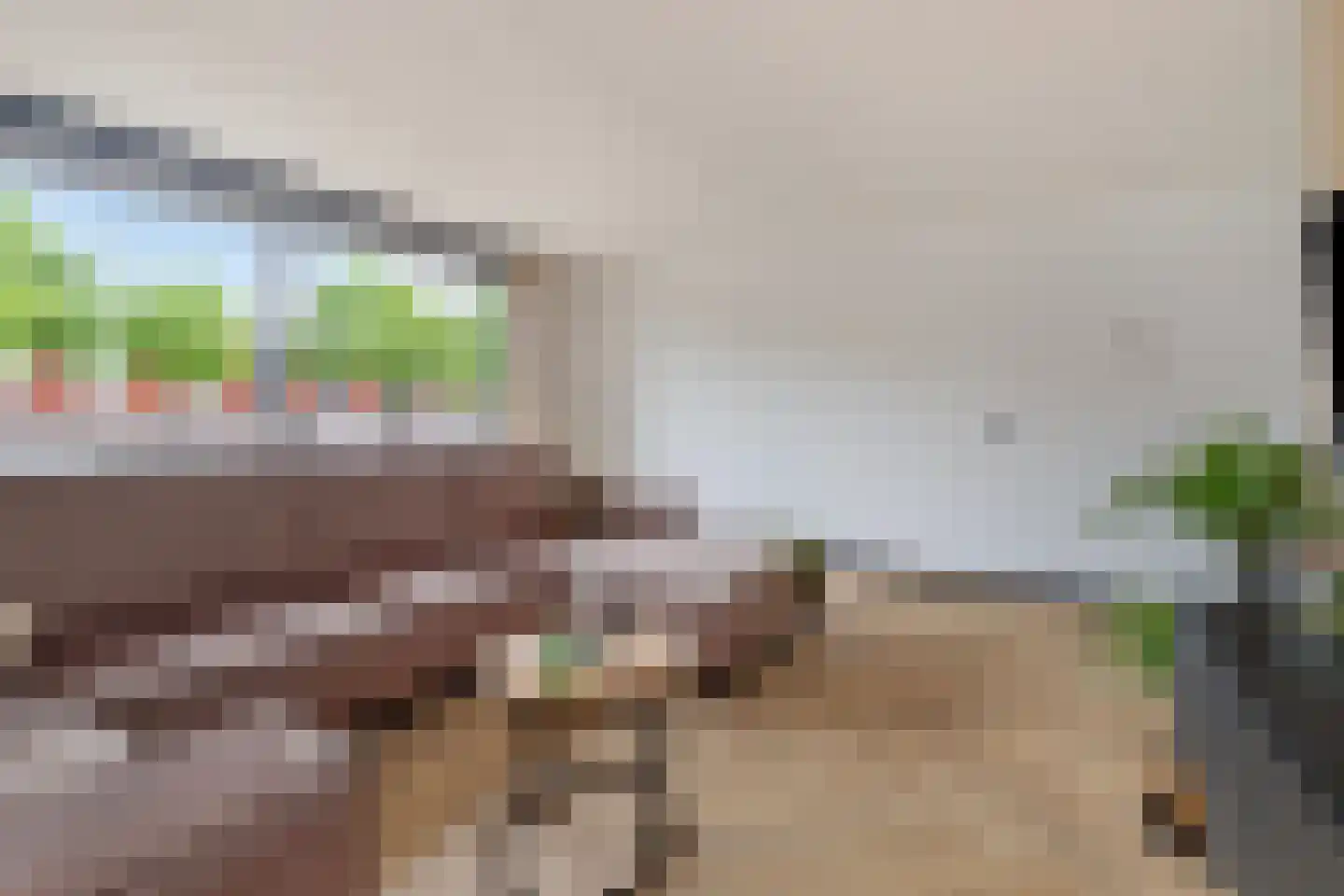 Priemkruid 68 Breda thumbnail 7