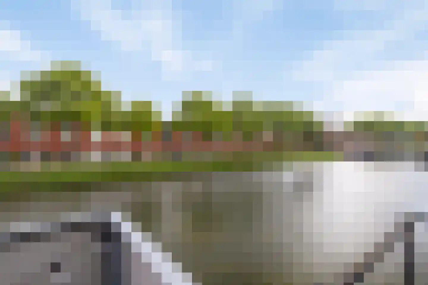 Priemkruid 68 Breda thumbnail 9