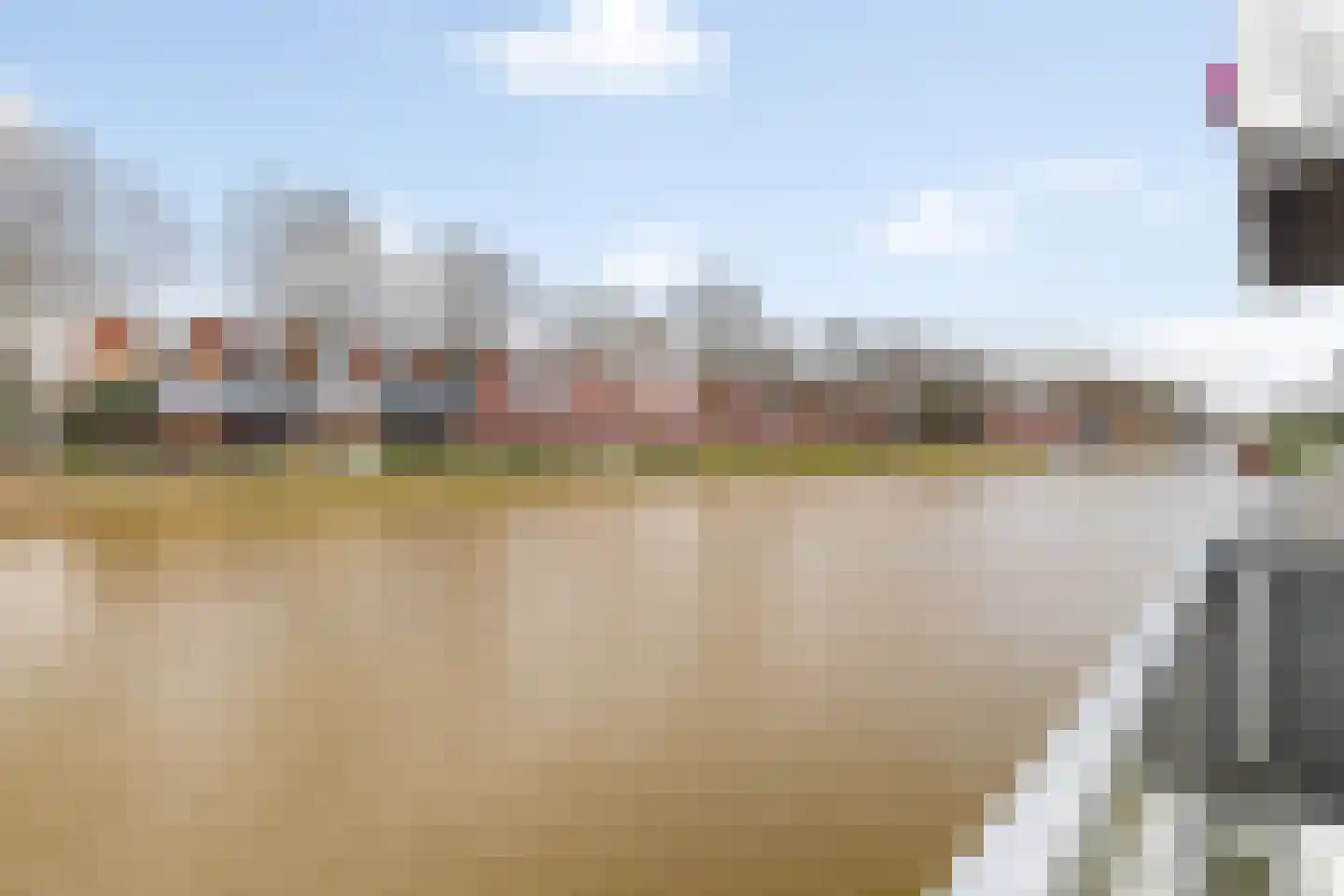 Priemkruid 76 Breda thumbnail 24
