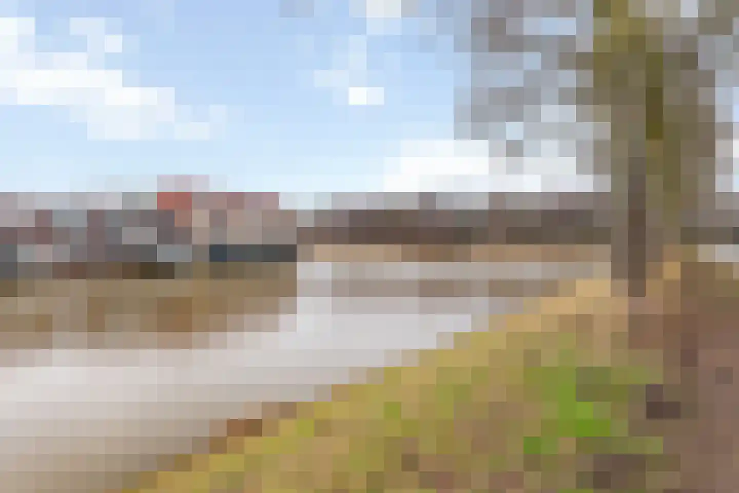 Priemkruid 76 Breda thumbnail 25