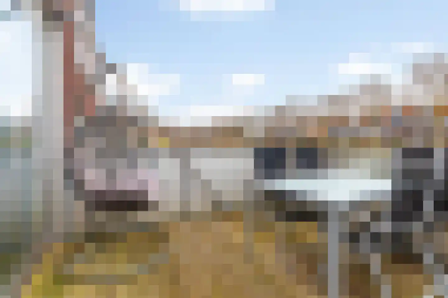 Priemkruid 76 Breda thumbnail 5