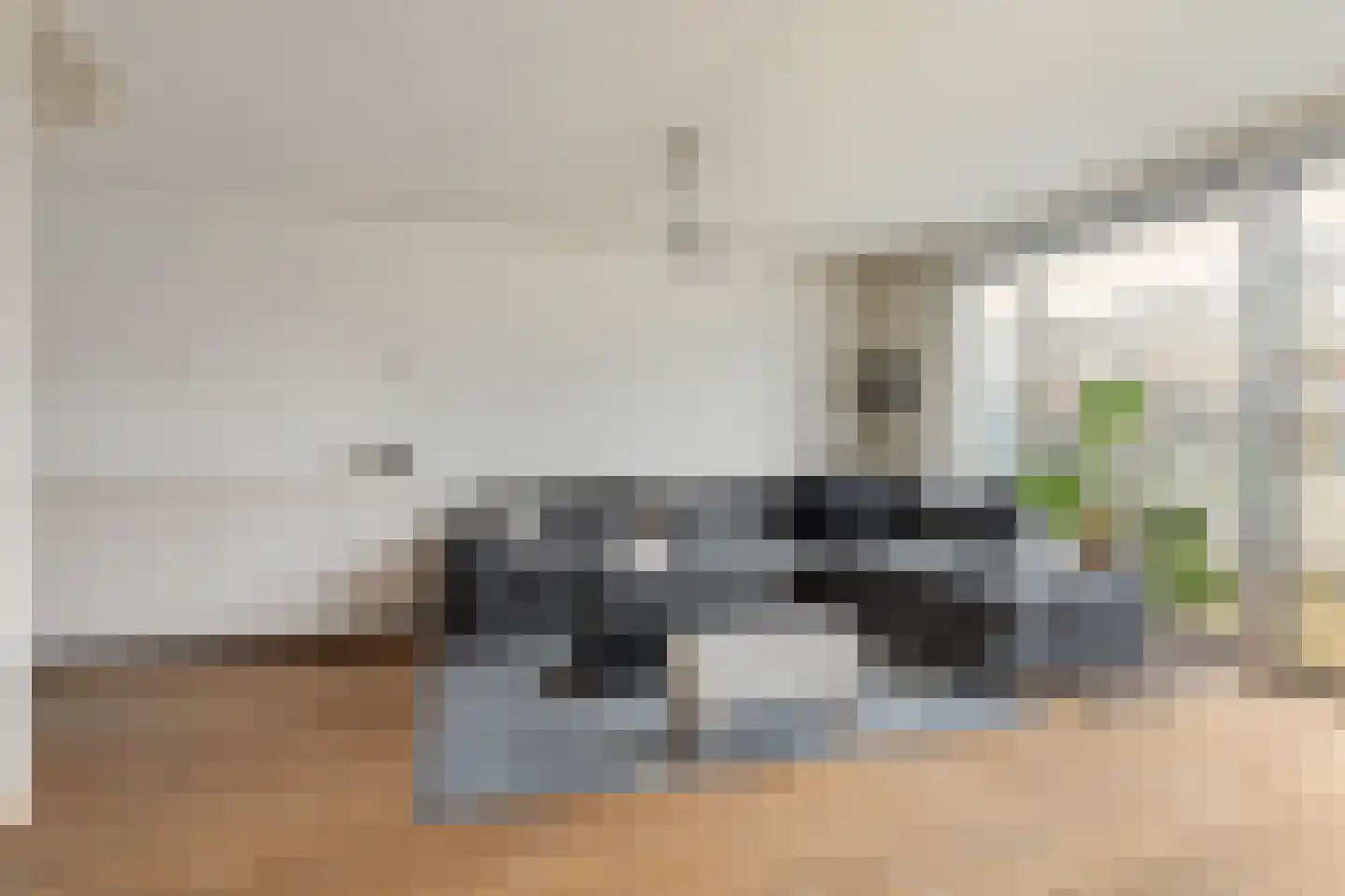 Priemkruid 76 Breda thumbnail 8