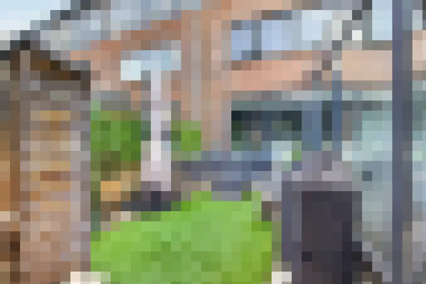 Priemkruid 83 Breda thumbnail 12