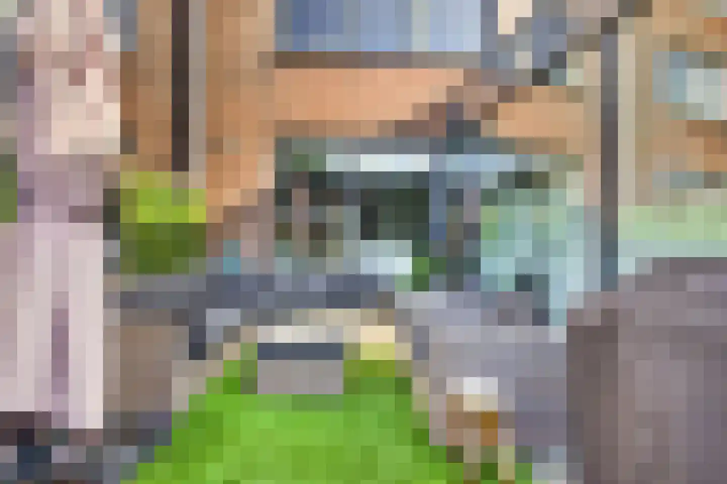 Priemkruid 83 Breda thumbnail 13
