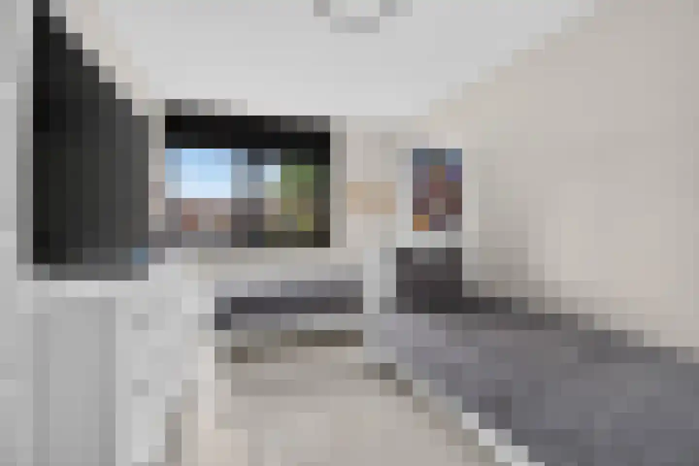 Priemkruid 83 Breda thumbnail 17