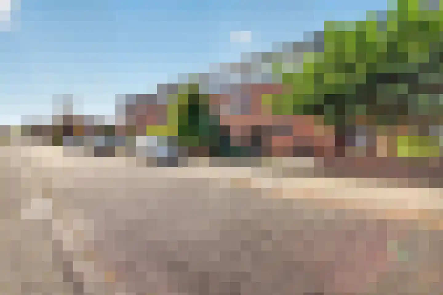Priemkruid 83 Breda thumbnail 22