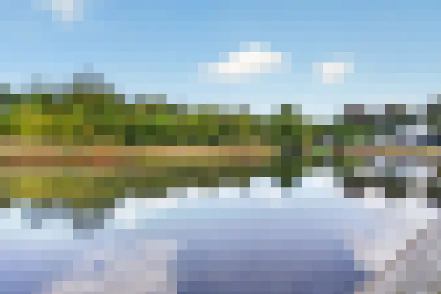 Priemkruid 83 Breda thumbnail 24
