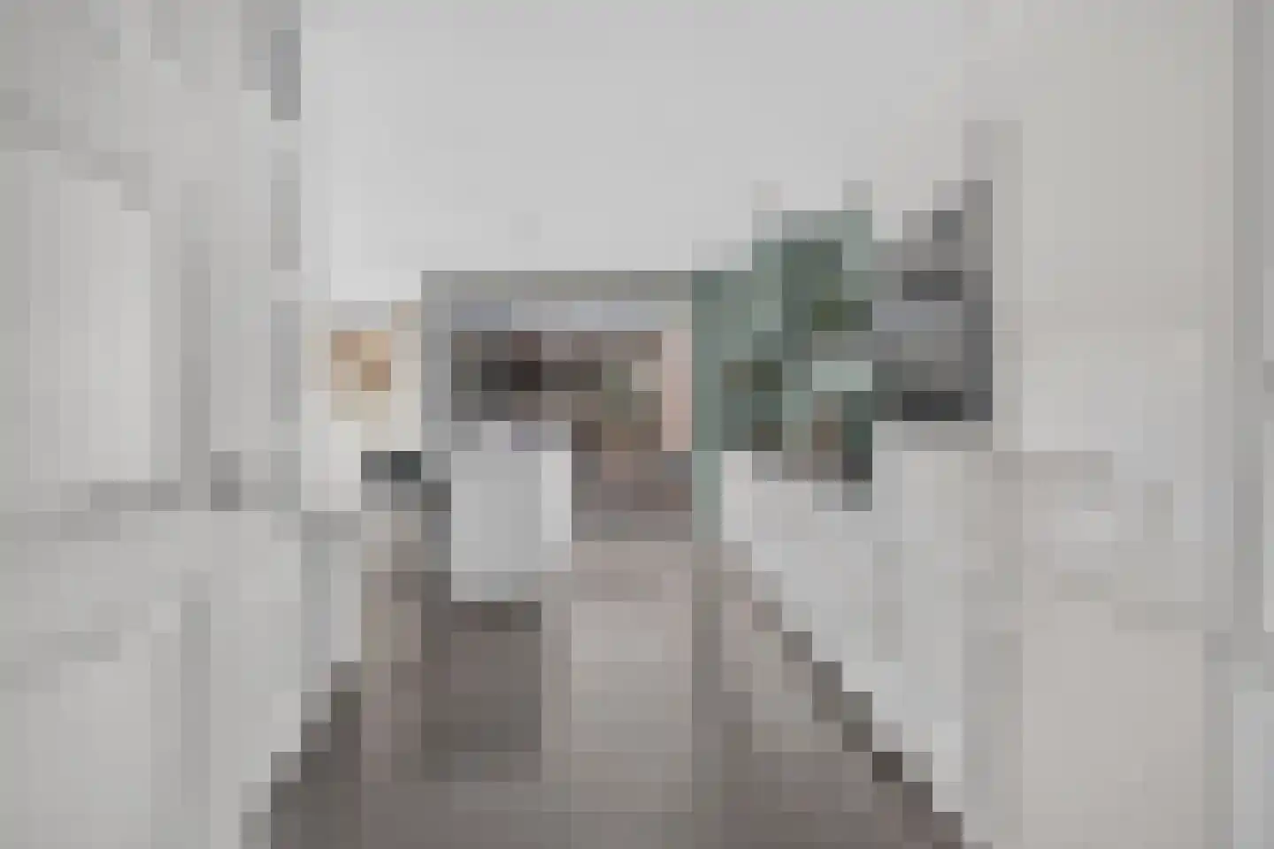 Priemkruid 83 Breda thumbnail 4