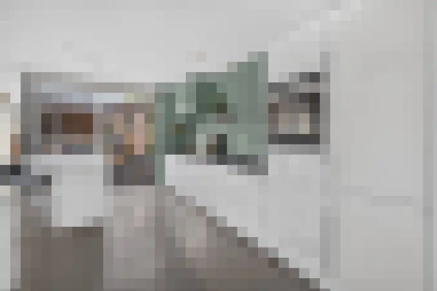 Priemkruid 83 Breda thumbnail 5