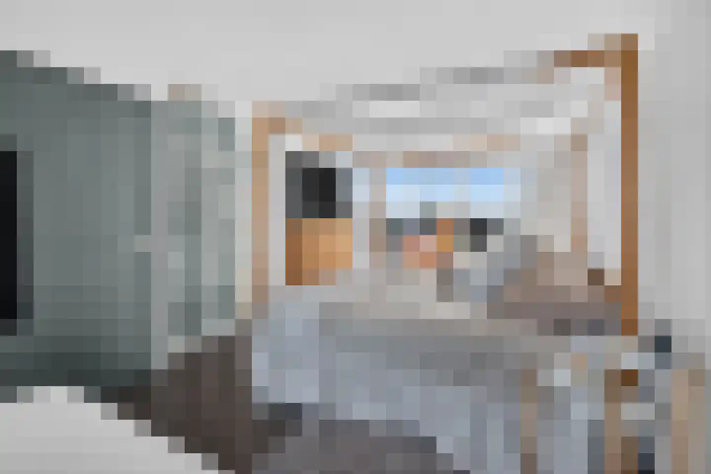 Priemkruid 83 Breda thumbnail 8