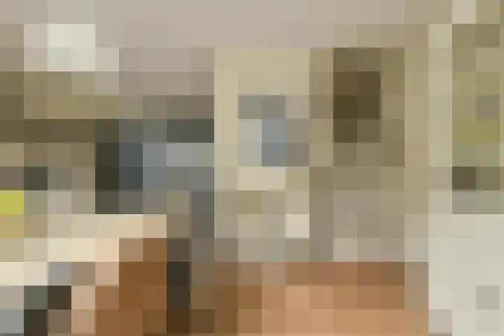 Priemkruid 87 Breda thumbnail 10