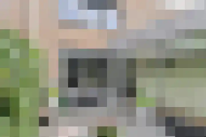 Priemkruid 87 Breda thumbnail 19